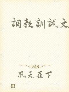 调教训诫文sp封面
