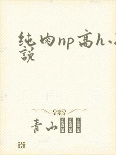 纯肉np高h小说