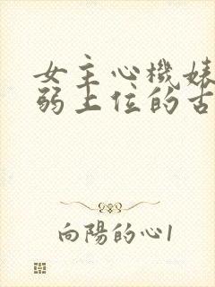 女主心机婊装柔弱上位的古言封面