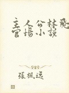 主人公林飞扬的官场小说