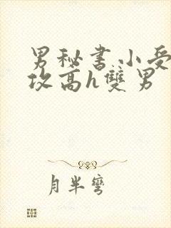 男秘书小受引诱攻高h双男