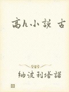 高h小说 古言