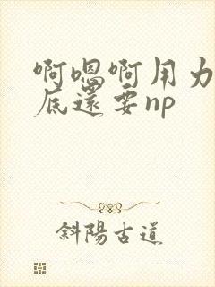 啊嗯啊用力插到底还要np