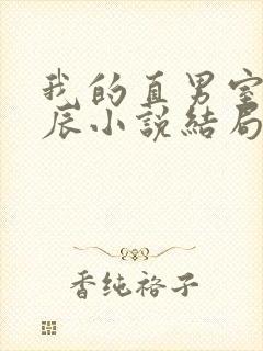 我的直男室友张辰小说结局封面