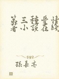第三种爱情 原著小说在线阅读