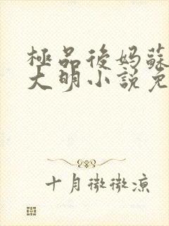 极品后妈苏晴杨大明小说免费阅读