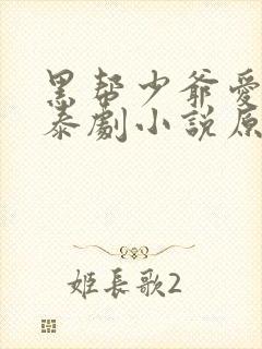 黑帮少爷爱上我泰剧小说原著