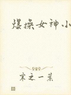 爆操女神小说封面