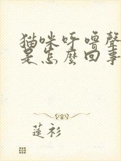 猫咪呼噜声很大是怎么回事