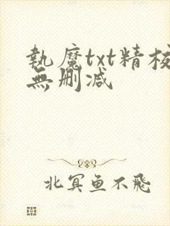 执魔txt精校无删减封面
