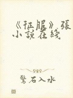 《征服》张一文小说在线