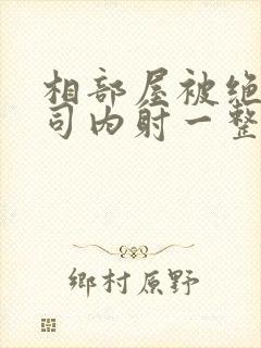 相部屋被绝伦上司内射一整晚ntr封面