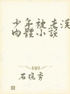 少年被老汉玩弄肉体小说封面