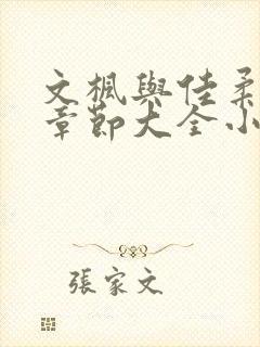 文枫与佳柔全集章节大全小说