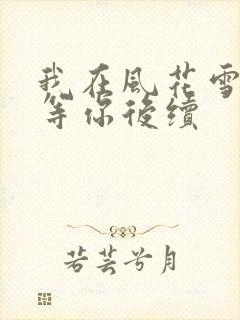 我在风花雪月里等你后续
