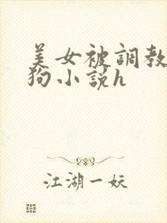 美女被调教成母狗小说h封面