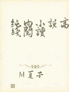 纯肉小说高h在线阅读封面