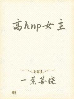 高hnp女主