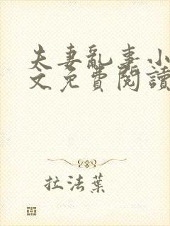 夫妻乱事小说全文免费阅读最新章节封面