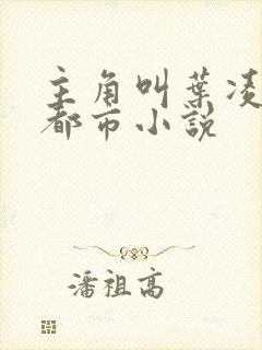 主角叫叶凌天的都市小说