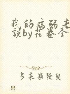 我的病弱老婆小说by花卷全文