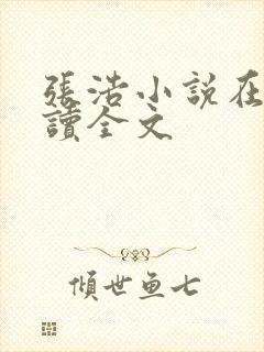 张浩小说在线阅读全文