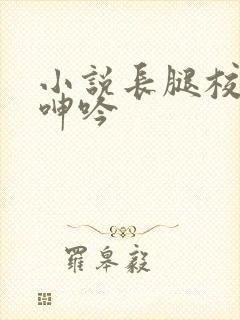 小说长腿校花的呻吟