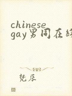 chinesegay男同在线