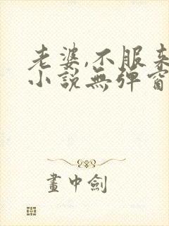 老婆,不服来战小说无弹窗最新章节