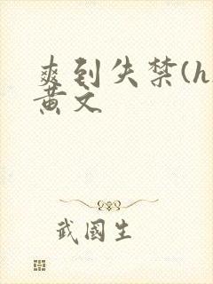 爽到失禁(h)黄文封面