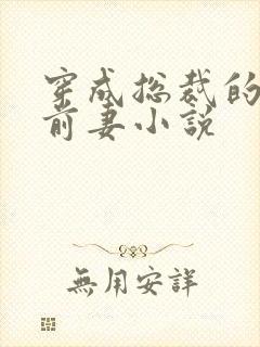 穿成总裁的美艳前妻小说封面