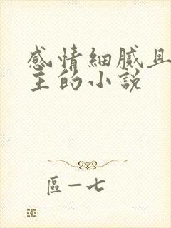 感情细腻且多女主的小说