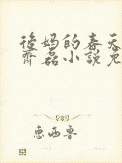 后妈的春天赵妍齐磊小说免费阅读