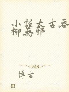 小说太古吞天诀柳无邪