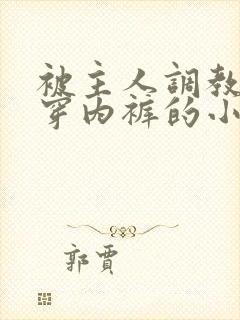被主人调教不许穿内裤的小说