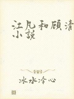 江凡和顾清雪的小说