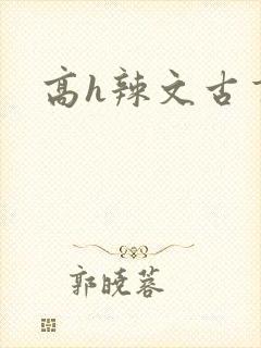 高h辣文古言封面