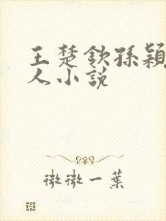 王楚钦孙颖莎同人小说