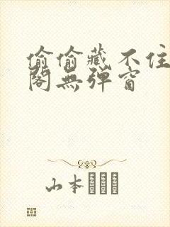 偷偷藏不住笔趣阁无弹窗