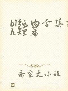 bl纯肉合集高h短篇封面