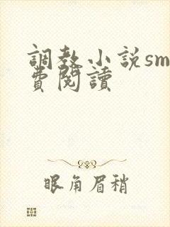 调教小说sm免费阅读封面