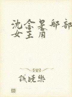 沈念是哪部小说女主角