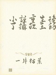 小说重生后我成了摄政王的掌心宠封面