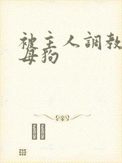 被主人调教成骚母狗