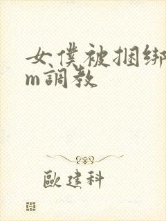 女仆被捆绑着sm调教封面