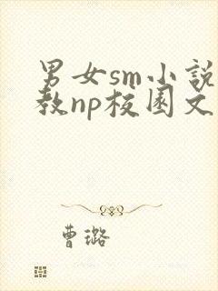 男女sm小说调教np校园文