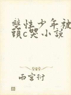 双性少年被死对头c哭小说