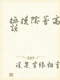 抚摸阴蒂高潮小说