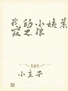 我的小姨叶凡孤寂之狼