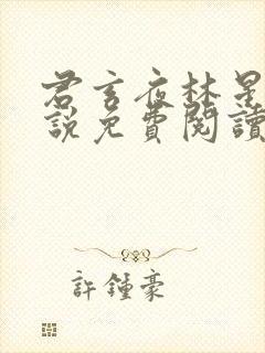 君玄夜林星瑶小说免费阅读